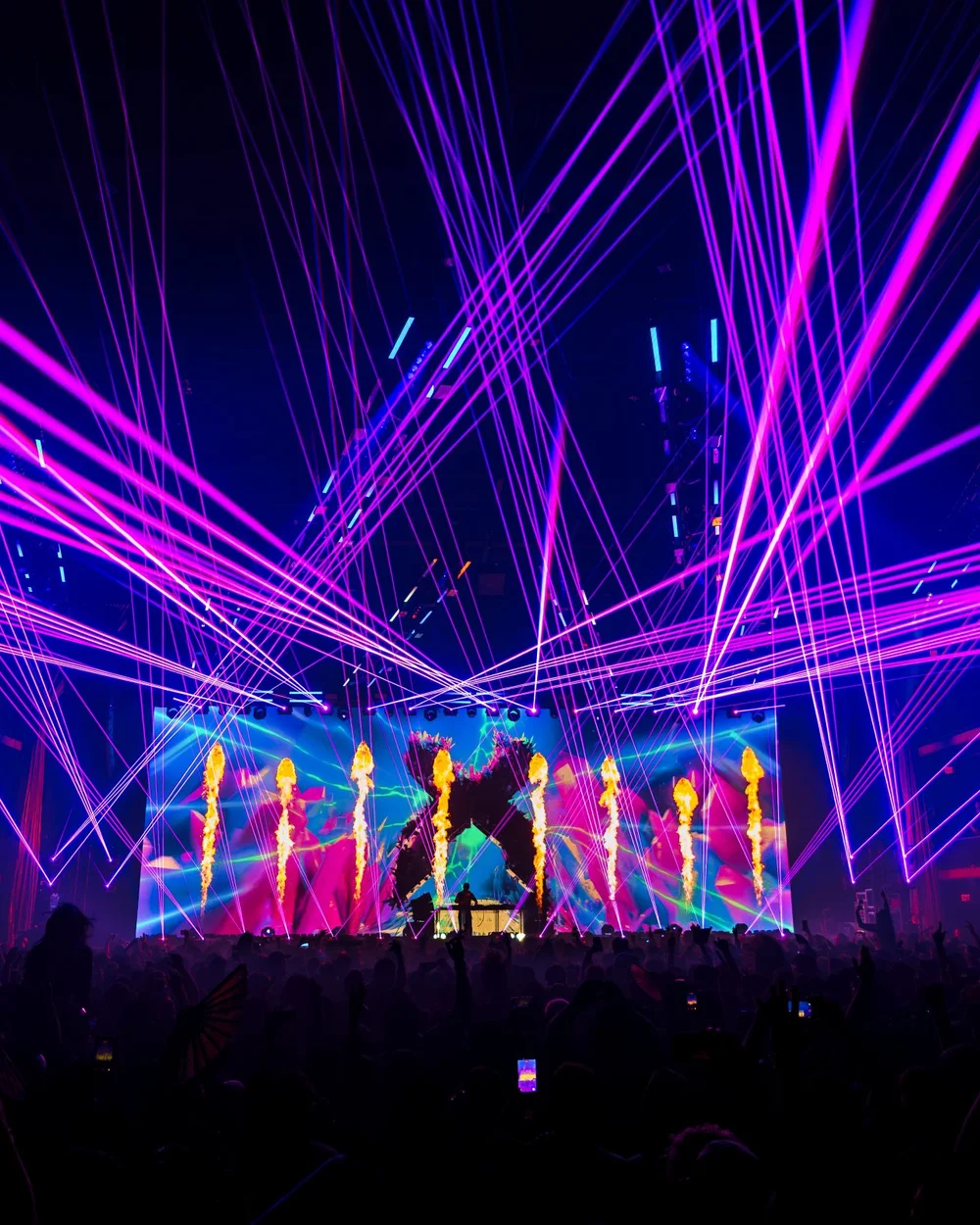 Excision